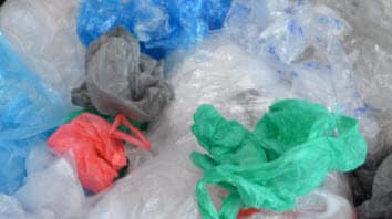 Featured image for “GS Submission to Government’s Reducing Plastic Pollution Survey”