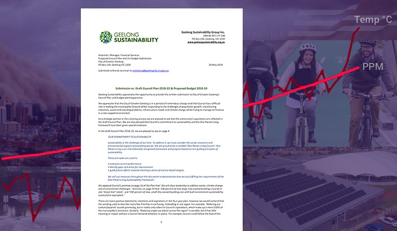 Featured image for “Council urged to demonstrate effective environmental leadership”