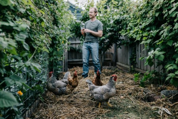 Urban Harvest: Composting in a Circular Economy
