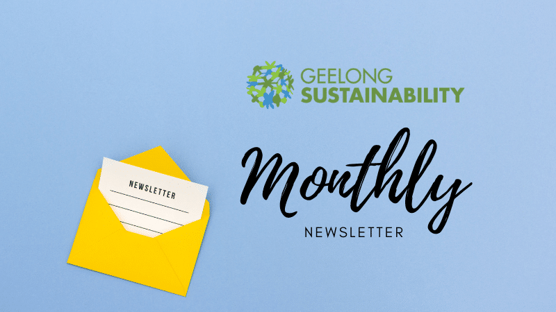 Featured image for “August 2025 Newsletter”