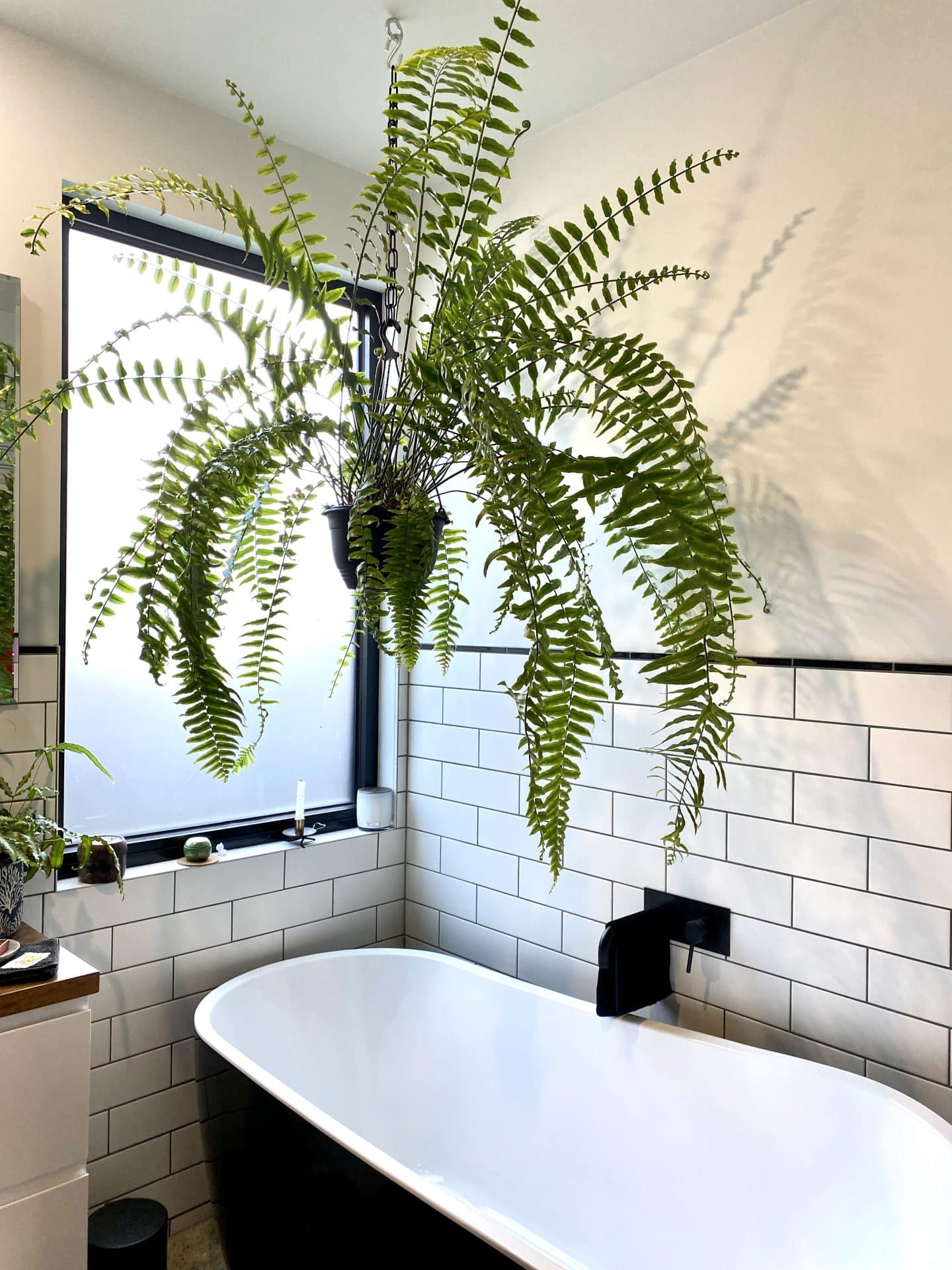 Manifold Hts Geelong Sustainability