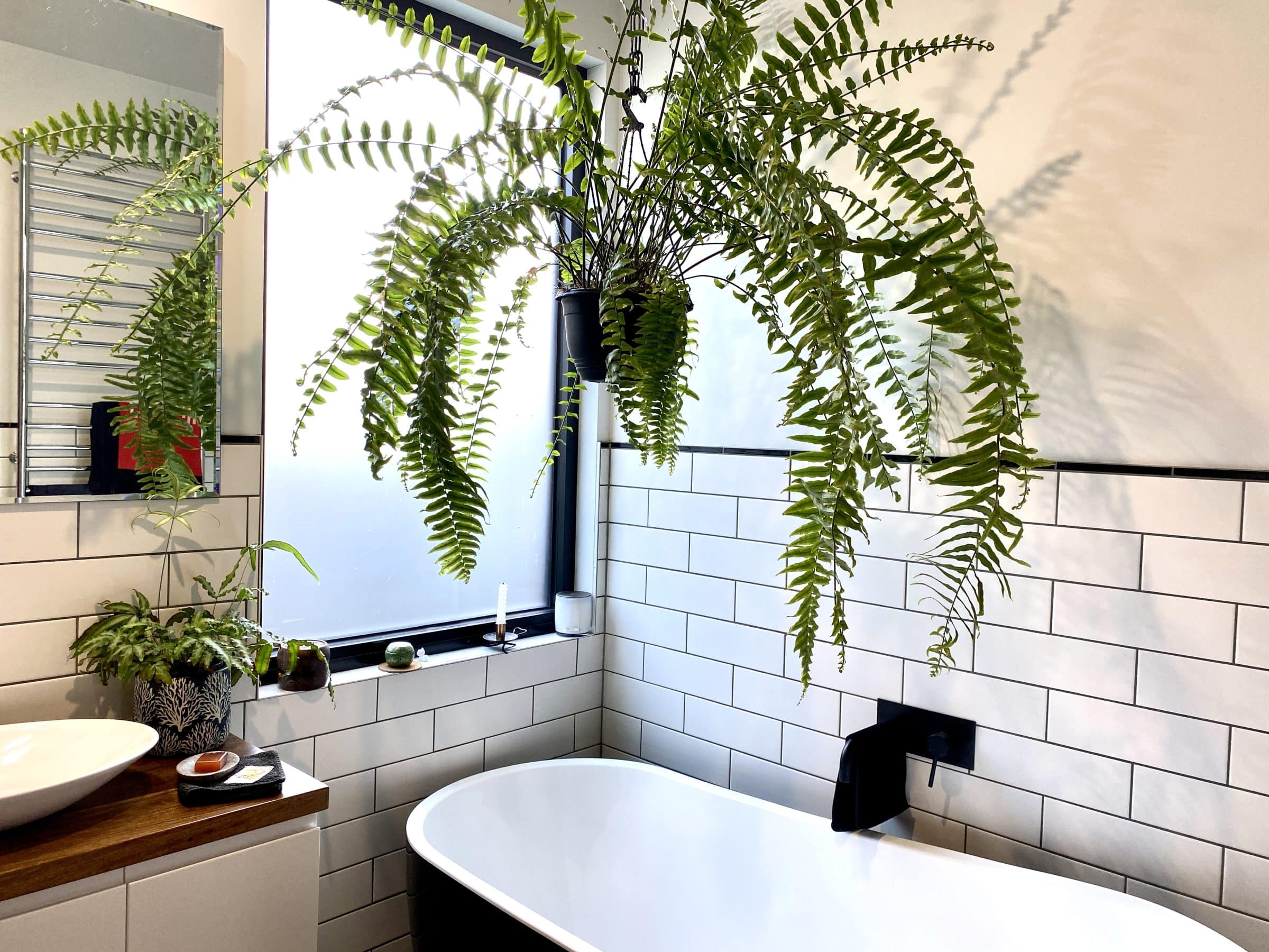 Manifold Hts Geelong Sustainability