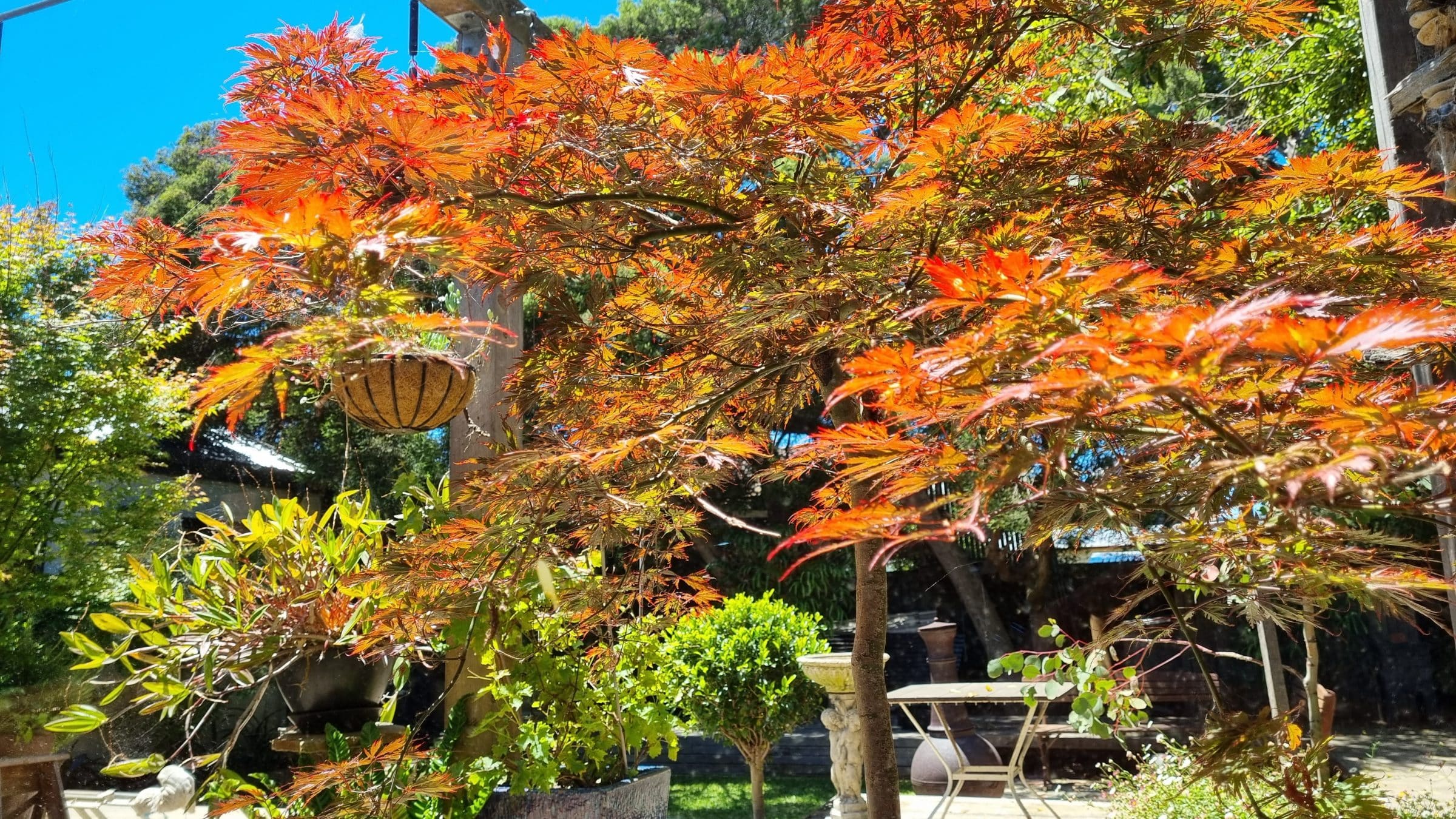 Torquay Reno Geelong Sustainability