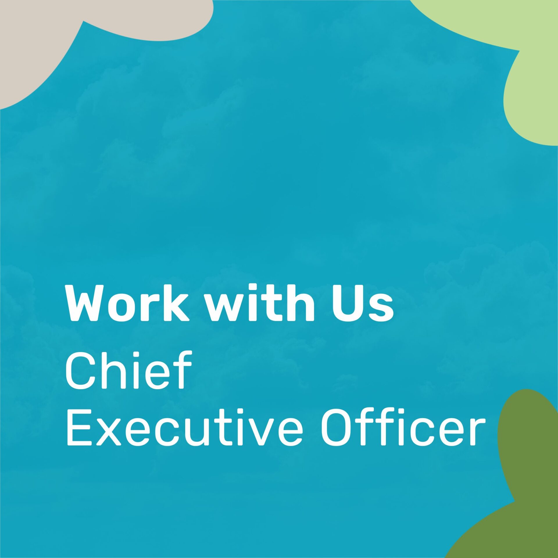 Featured image for “Are you the next CEO of Geelong Sustainability?”